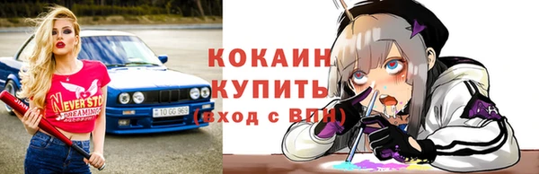 дмт Вяземский