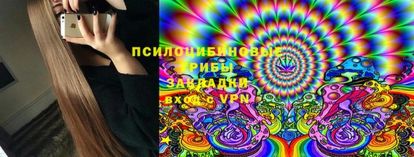 дмт Вяземский