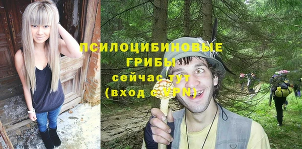 дмт Вяземский